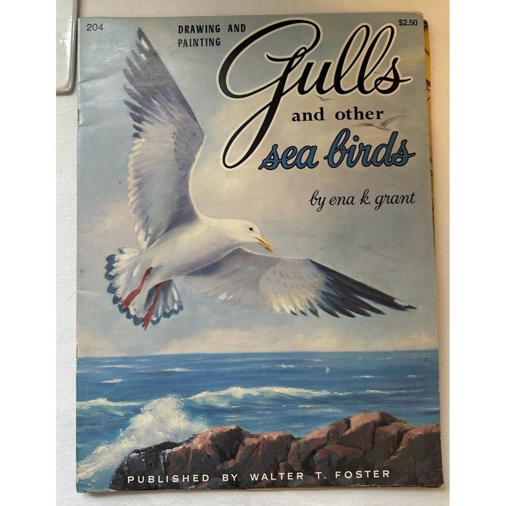 Vintage Drawing And Painting Gulls And Other Sea Birds Book By Ena K Grant